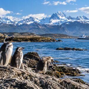 Navegación Pingüinera